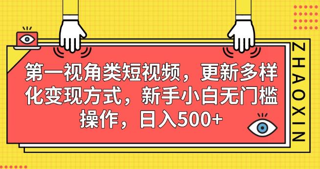 第一视角类短视频，更新多样化变现方式，新手小白无门槛操作，日入500+【揭秘】-七哥副业网