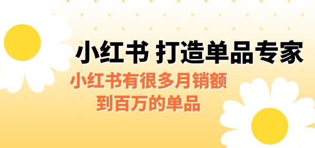 某公众号付费文章《小红书打造单品专家》小红书有很多月销额到百万的单品-七哥副业网